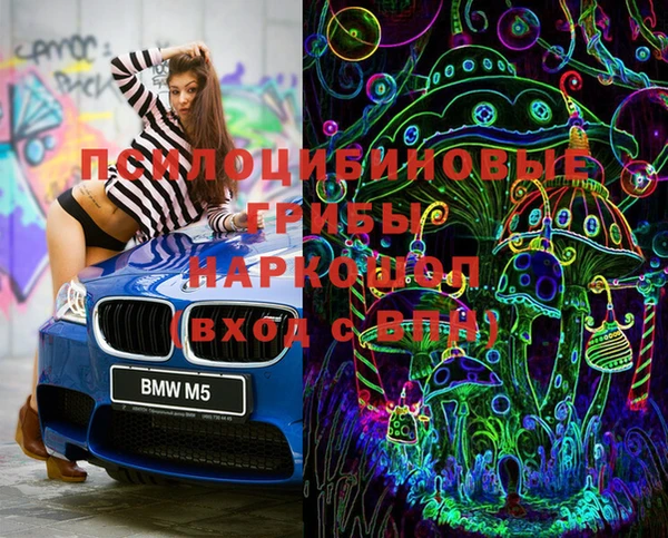 МДПВ Медвежьегорск