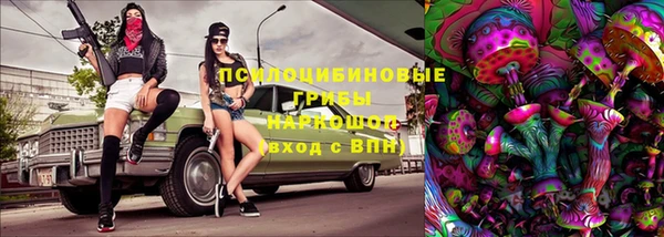 МДПВ Медвежьегорск