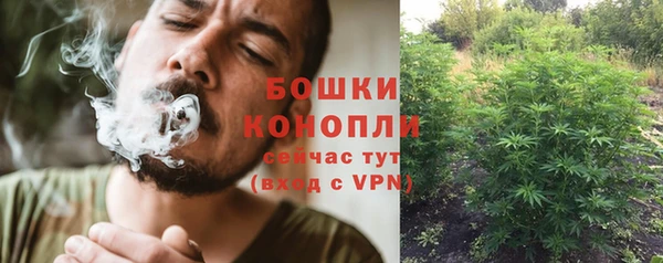 МДПВ Медвежьегорск