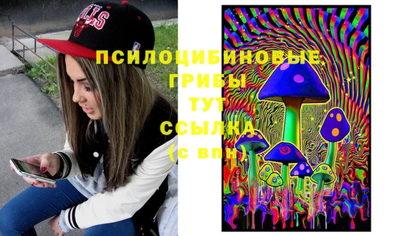 соль ск Магас